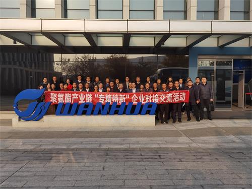 聚氨酯產業鏈“專精特新”企業對接交流活動在煙臺舉行