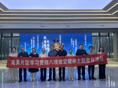 龍奧片區黨建工作機構組織召開黨建工作指導員見面會暨深入貫徹中央八項規定精神學習教育主題黨日活動